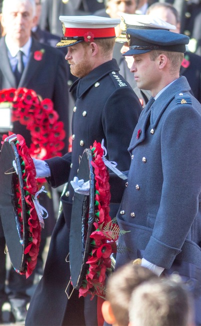 Prince William, Prince Harry, Remembrance Day Service